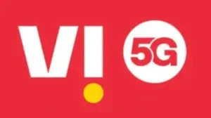 Vi